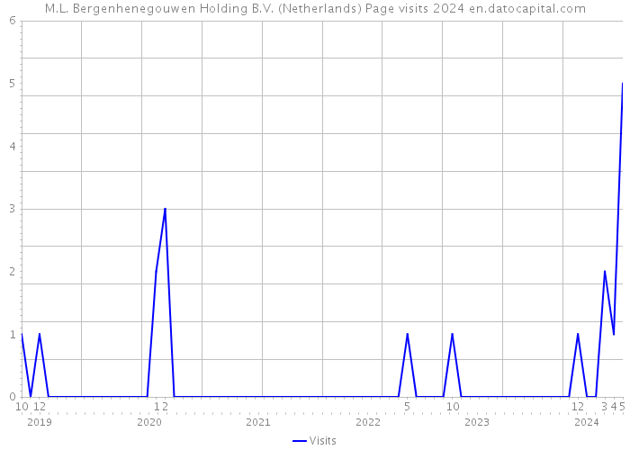 M.L. Bergenhenegouwen Holding B.V. (Netherlands) Page visits 2024 