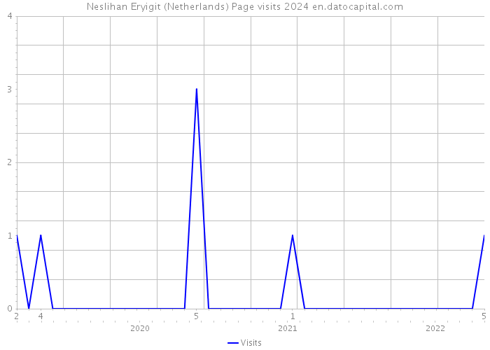 Neslihan Eryigit (Netherlands) Page visits 2024 