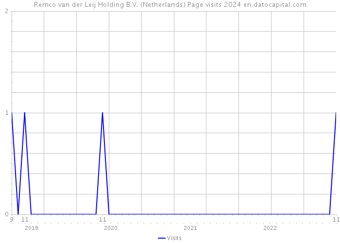 Remco van der Leij Holding B.V. (Netherlands) Page visits 2024 
