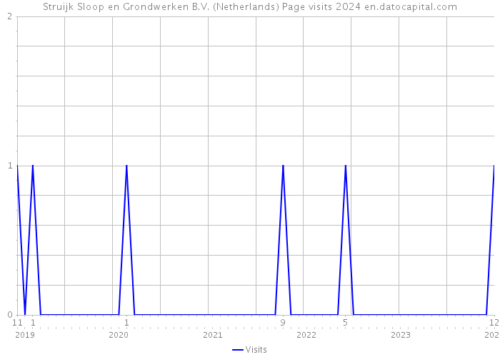 Struijk Sloop en Grondwerken B.V. (Netherlands) Page visits 2024 