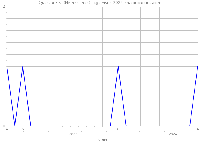 Questra B.V. (Netherlands) Page visits 2024 