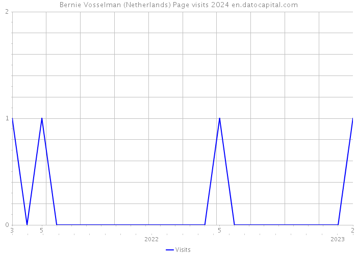 Bernie Vosselman (Netherlands) Page visits 2024 