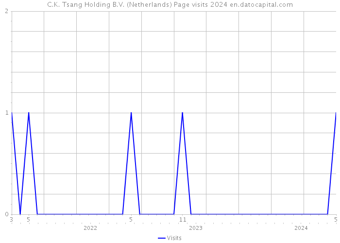 C.K. Tsang Holding B.V. (Netherlands) Page visits 2024 
