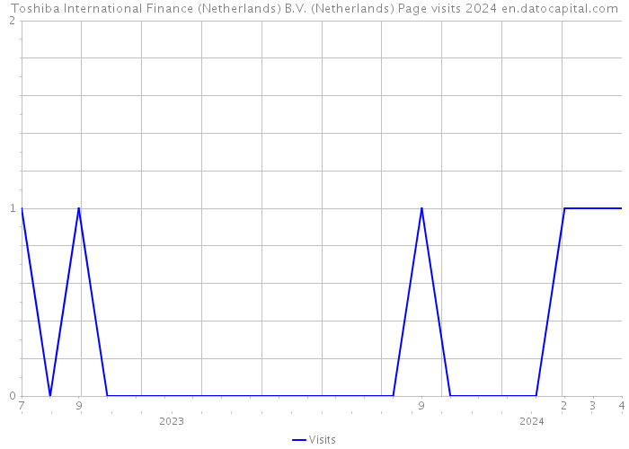 Toshiba International Finance (Netherlands) B.V. (Netherlands) Page visits 2024 