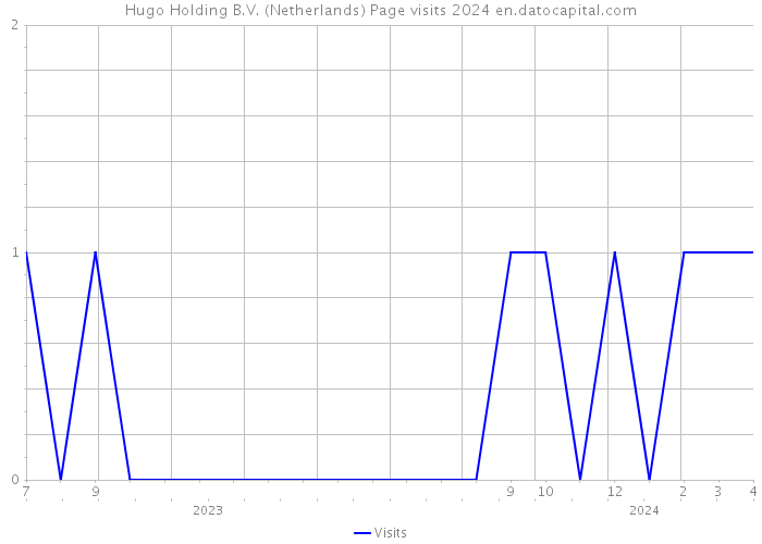 Hugo Holding B.V. (Netherlands) Page visits 2024 