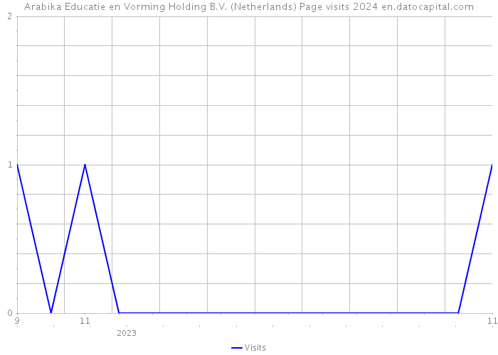 Arabika Educatie en Vorming Holding B.V. (Netherlands) Page visits 2024 