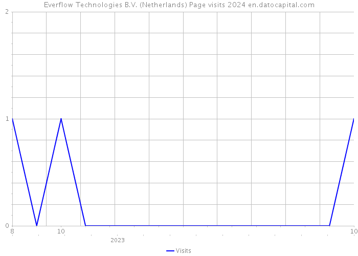 Everflow Technologies B.V. (Netherlands) Page visits 2024 