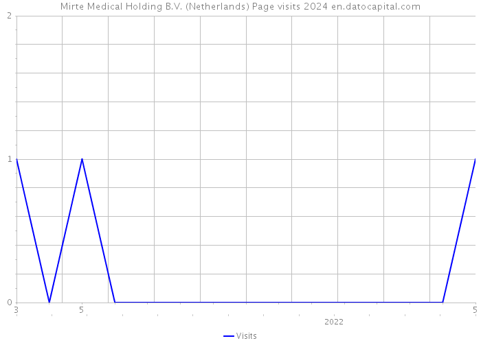 Mirte Medical Holding B.V. (Netherlands) Page visits 2024 