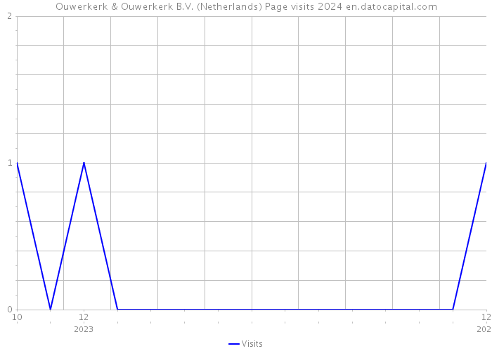 Ouwerkerk & Ouwerkerk B.V. (Netherlands) Page visits 2024 
