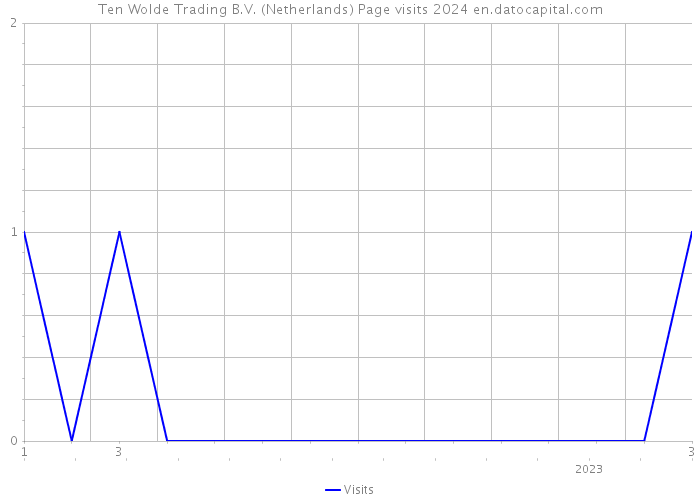 Ten Wolde Trading B.V. (Netherlands) Page visits 2024 