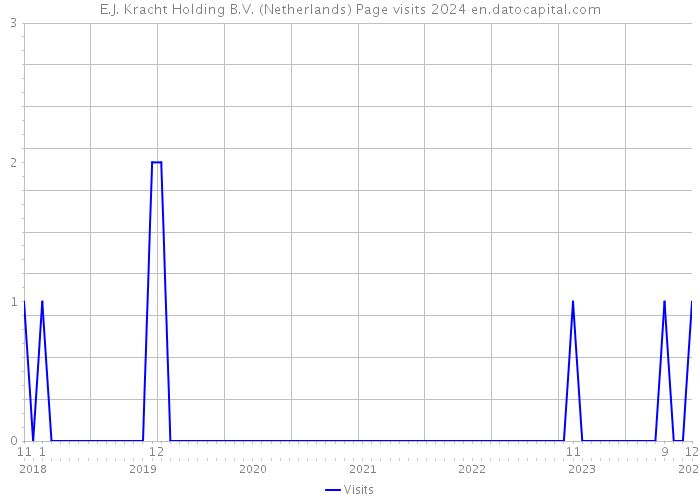 E.J. Kracht Holding B.V. (Netherlands) Page visits 2024 