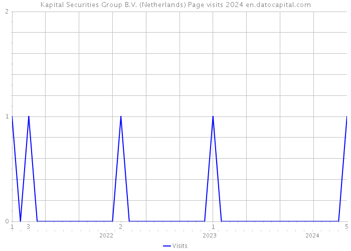 Kapital Securities Group B.V. (Netherlands) Page visits 2024 