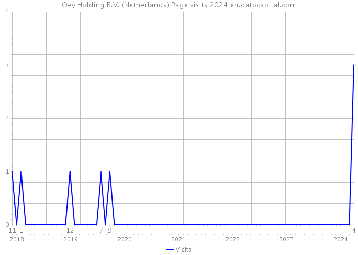 Oey Holding B.V. (Netherlands) Page visits 2024 