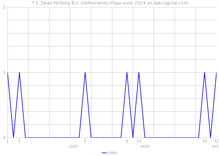 T.S. Zalait Holding B.V. (Netherlands) Page visits 2024 