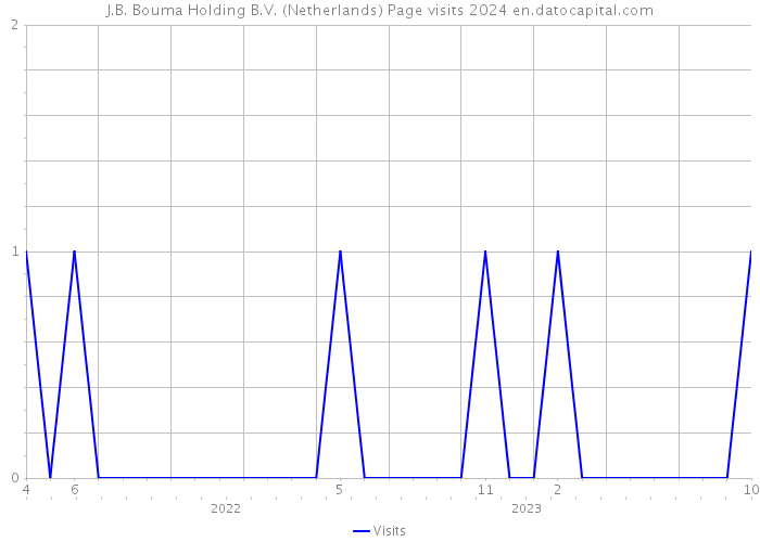 J.B. Bouma Holding B.V. (Netherlands) Page visits 2024 