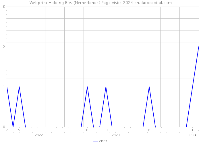 Webprint Holding B.V. (Netherlands) Page visits 2024 