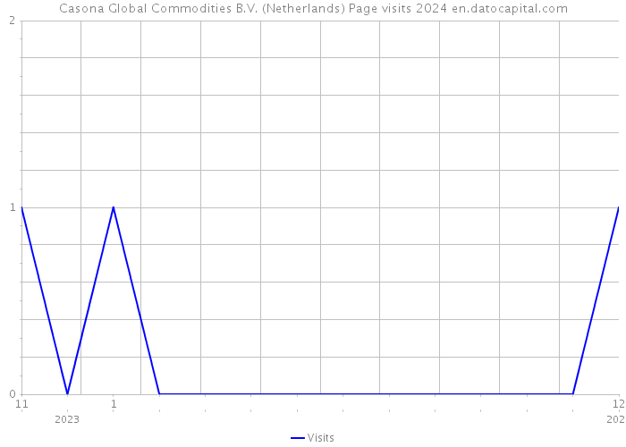 Casona Global Commodities B.V. (Netherlands) Page visits 2024 