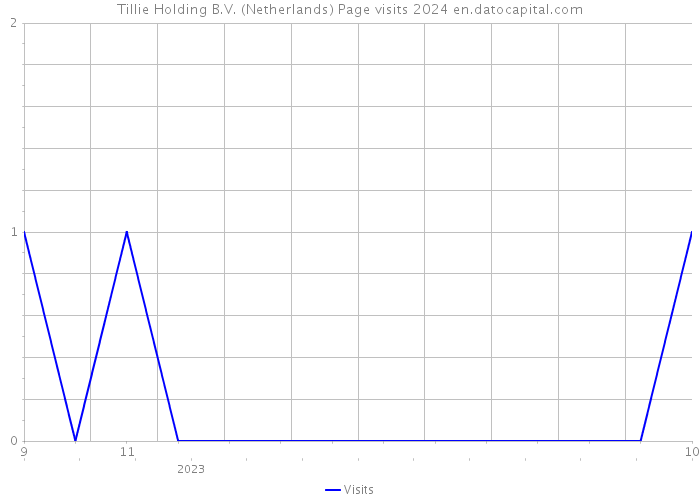 Tillie Holding B.V. (Netherlands) Page visits 2024 