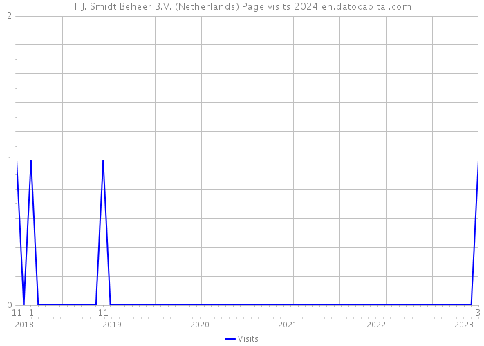 T.J. Smidt Beheer B.V. (Netherlands) Page visits 2024 
