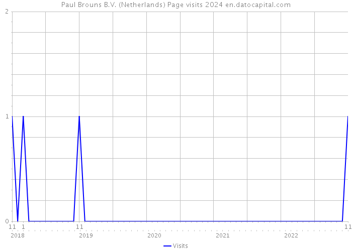 Paul Brouns B.V. (Netherlands) Page visits 2024 