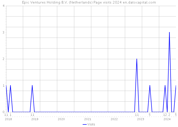 Epic Ventures Holding B.V. (Netherlands) Page visits 2024 