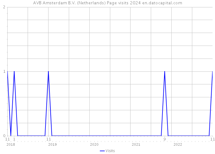 AVB Amsterdam B.V. (Netherlands) Page visits 2024 