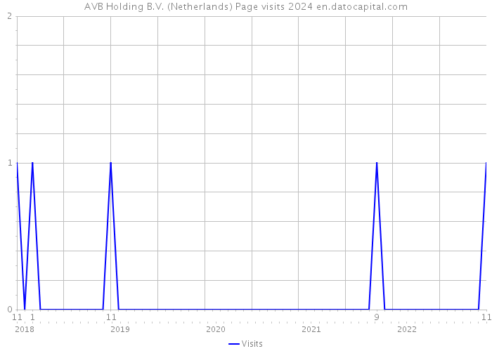 AVB Holding B.V. (Netherlands) Page visits 2024 