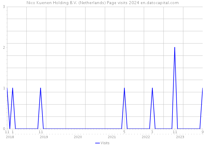 Nico Kuenen Holding B.V. (Netherlands) Page visits 2024 