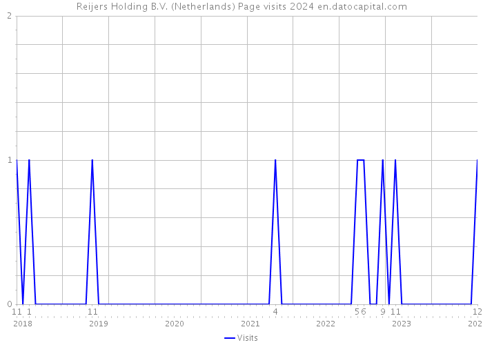 Reijers Holding B.V. (Netherlands) Page visits 2024 