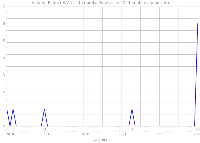Holding Folmer B.V. (Netherlands) Page visits 2024 