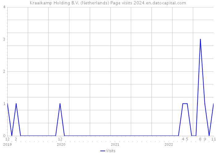 Kraaikamp Holding B.V. (Netherlands) Page visits 2024 