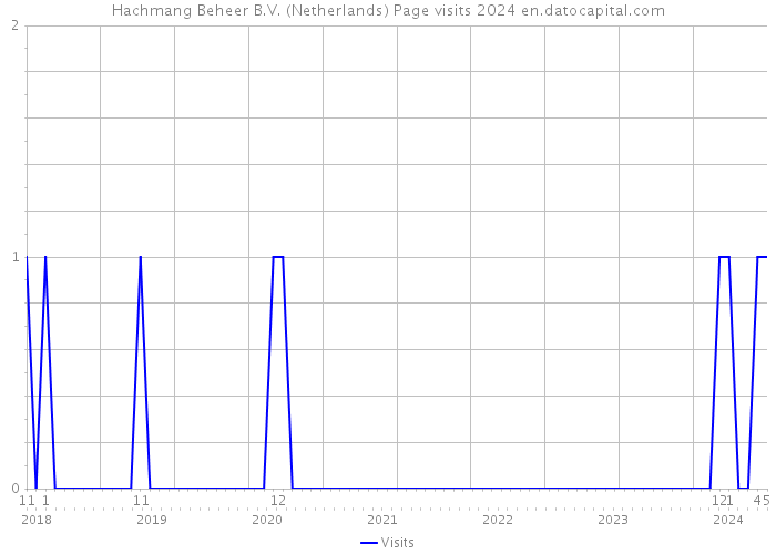 Hachmang Beheer B.V. (Netherlands) Page visits 2024 