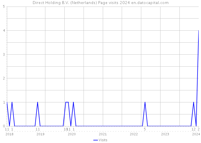 Direct Holding B.V. (Netherlands) Page visits 2024 