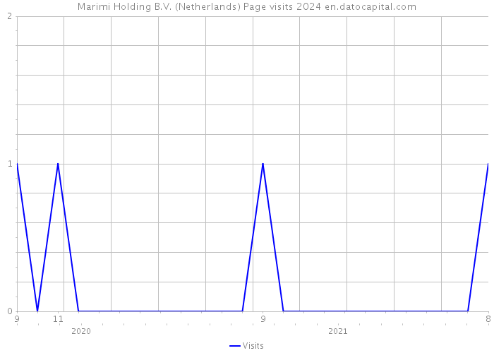 Marimi Holding B.V. (Netherlands) Page visits 2024 