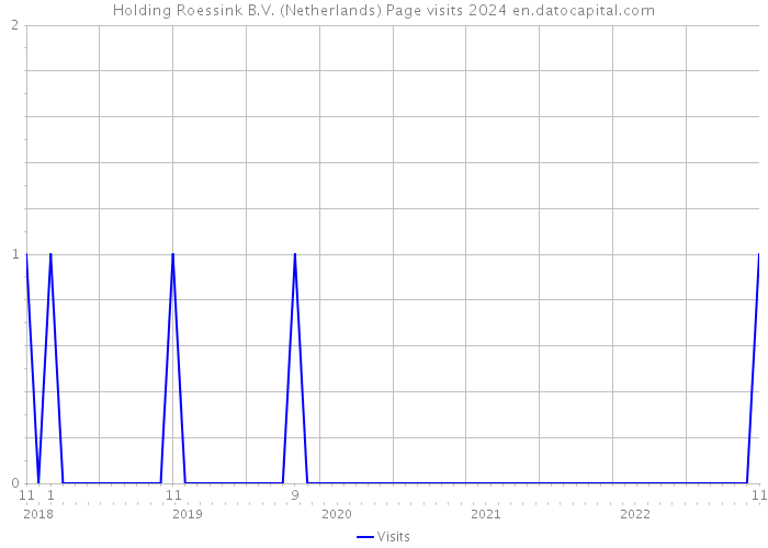 Holding Roessink B.V. (Netherlands) Page visits 2024 