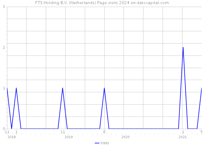 FTS Holding B.V. (Netherlands) Page visits 2024 