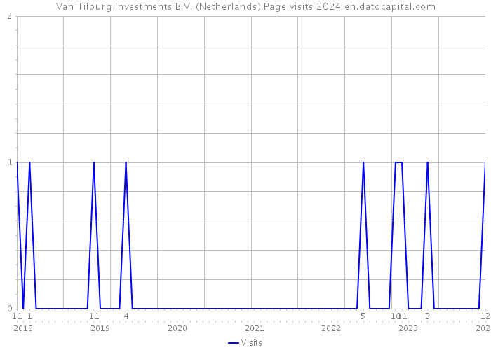 Van Tilburg Investments B.V. (Netherlands) Page visits 2024 