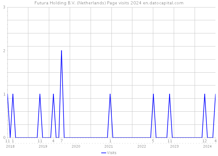 Futura Holding B.V. (Netherlands) Page visits 2024 