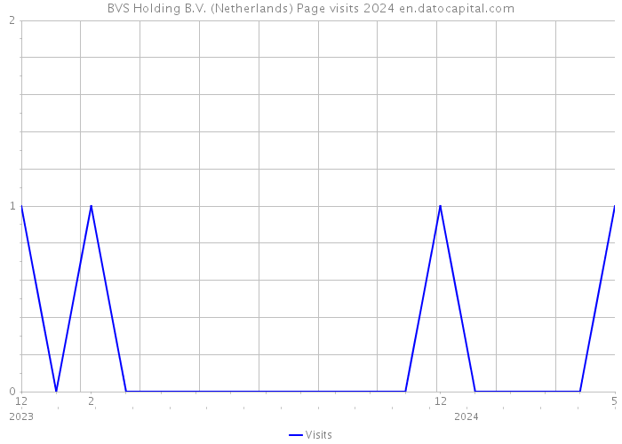 BVS Holding B.V. (Netherlands) Page visits 2024 