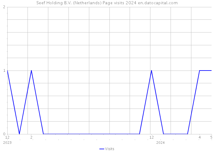 Seef Holding B.V. (Netherlands) Page visits 2024 