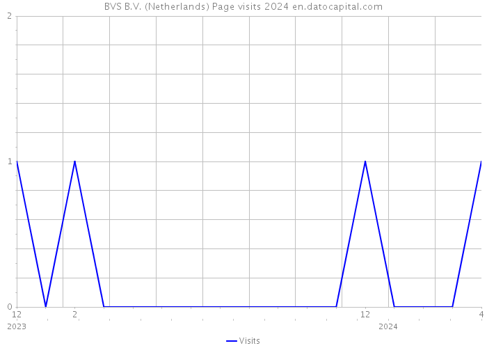 BVS B.V. (Netherlands) Page visits 2024 