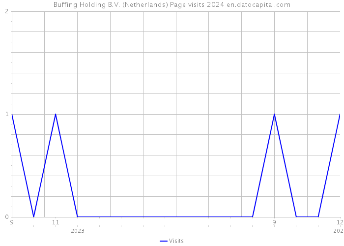 Buffing Holding B.V. (Netherlands) Page visits 2024 