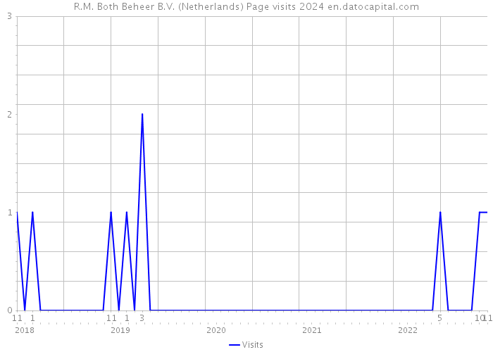 R.M. Both Beheer B.V. (Netherlands) Page visits 2024 