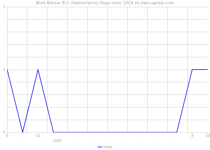 Bliek Beheer B.V. (Netherlands) Page visits 2024 