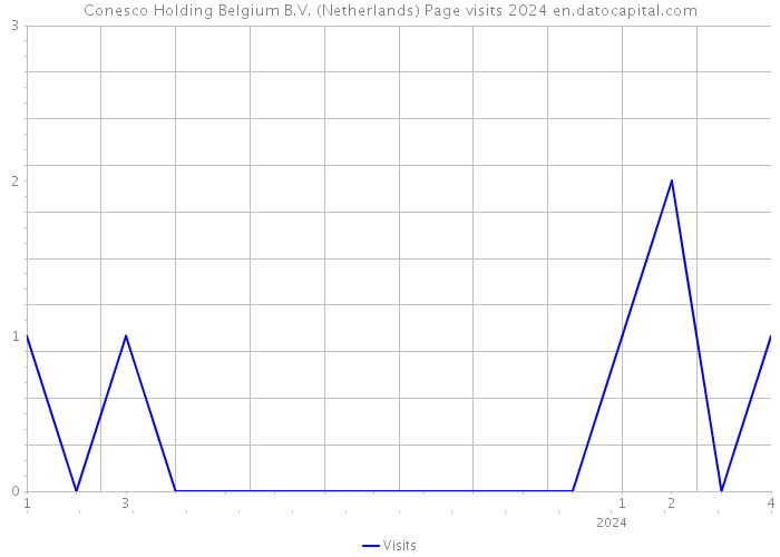 Conesco Holding Belgium B.V. (Netherlands) Page visits 2024 