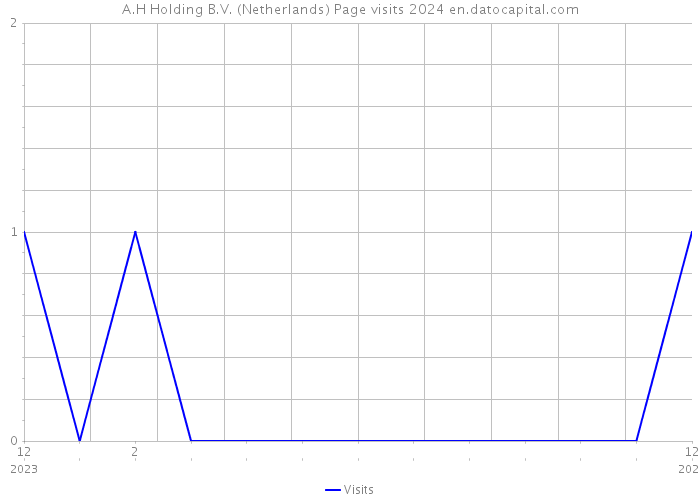 A.H Holding B.V. (Netherlands) Page visits 2024 