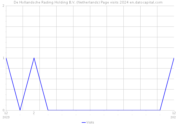 De Hollandsche Rading Holding B.V. (Netherlands) Page visits 2024 