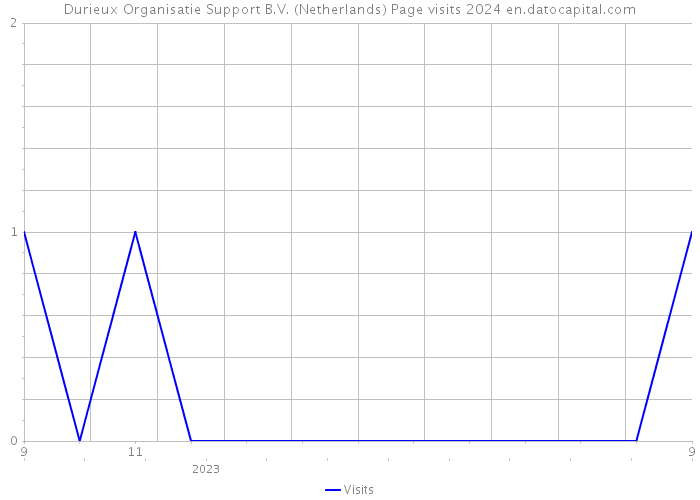 Durieux Organisatie Support B.V. (Netherlands) Page visits 2024 