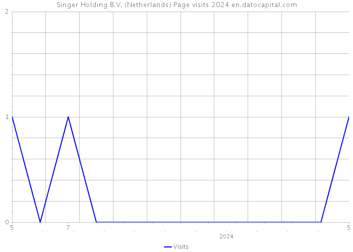 Singer Holding B.V. (Netherlands) Page visits 2024 