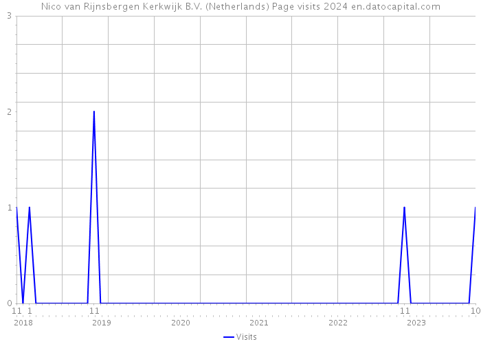 Nico van Rijnsbergen Kerkwijk B.V. (Netherlands) Page visits 2024 